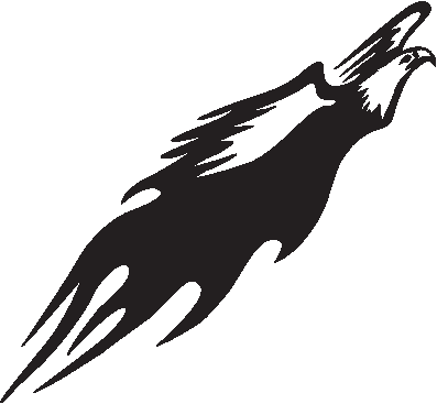 Aufkleber Adler Decal Auto KFZ