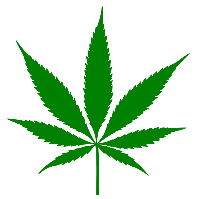 Aufkleber Vinylfolie Pflanze Cannabis Auto Wohnmobil Dekor