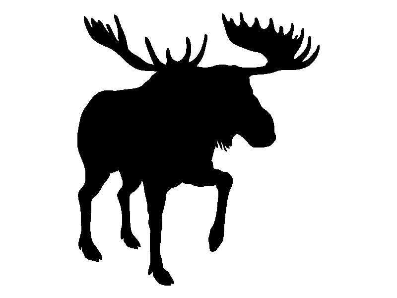 Aufkleber Vinylfolie Elch
