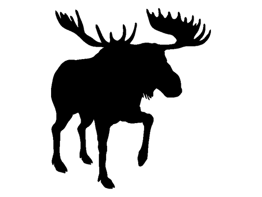 Aufkleber Vinylfolie Elch