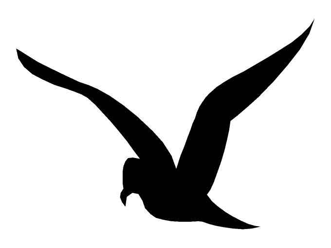 Aufkleber Vinylfolie Möwe Vogel Tier Deko
