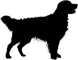 Aufkleber Vinylfolie Hund Golden Retriever