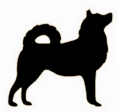 Aufkleber Vinylfolie Hund Husky