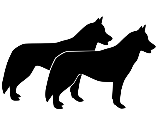 Aufkleber Vinylfolie Hund zwei Huskys