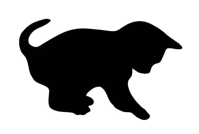 Aufkleber Vinylfolie Katze Deko Auto