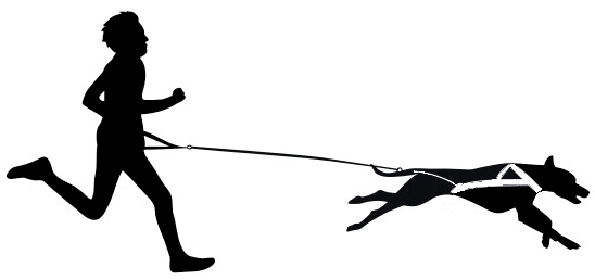 Aufkleber Vinylfolie Canicross Hunde Musher Zughundesport Zughunde